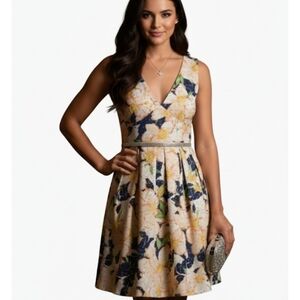 J.crew Cottagecore  fit and flare  floral vneck  dress size 8